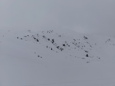 Foto copetina Monte Sodadura